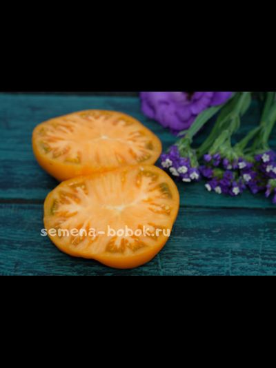 Томат Персик и Крем (Peaches and Cream), 10 шт