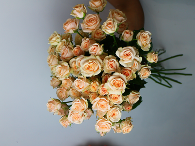 Букет цветов для мамы № 633