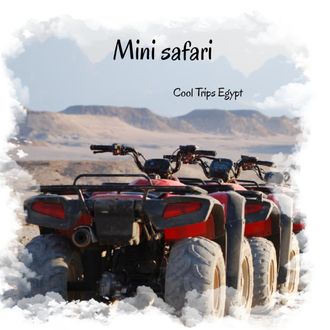 Mini safari (El Quseir, Port Ghalib, Marsa Alam)