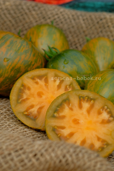 Томат Babylons Glow (Гном Сияние Вавилона), 10 шт