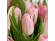 51 тюльпан в корзине