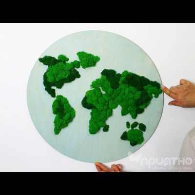 ЖИВАЯ ЭКО-КАРТИНА 1041