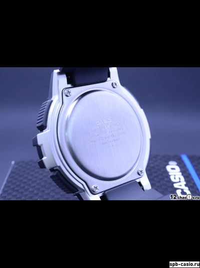 Часы Casio WS-1200H-2AVEF