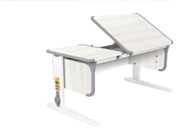 Растущая парта Dami с 5 лет, размер 5(+42.5)x55x53(до 81.5) СУТ.42 купить в Воронеже