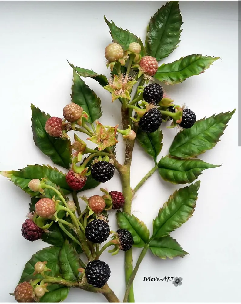 Работа Ивлевой Елены. Использован молд "Малина-ежевика"