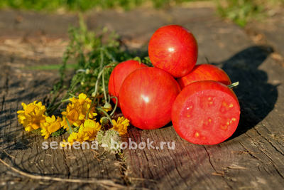Томат Воловье сердце полосатое, 10 шт.
