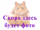 Пайетки #I.8 Andrea Bilics (Андреа Биликс) 2 гр