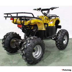 Квадроцикл GreenCamel Atakama T220 (48V 1000W R8 Дифференциал) пониженная