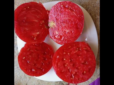 Томат Немецкий красный бабушки Кентрел (Granny Cantrell’s German), Канада