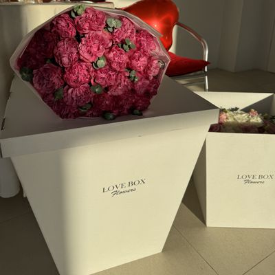 Транспортировочный бокс