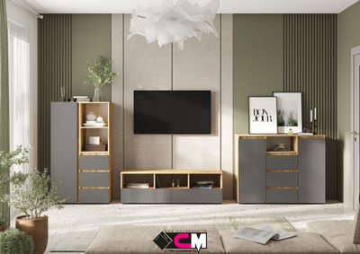 Композиция Гостиной ХЕЛЕН Дуб Крафт золотой/Графит