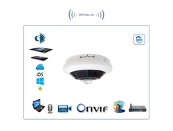 CO-RF51P уличная панорамная IP видеокамера с объективом рыбий глаз (Fisheye), встроенный микрофон и DVR, Full HD  5Мп (RXCamview)