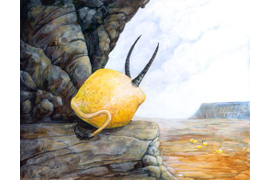 Фентезийный мир Урсулы Вернон (Ursula Vernon)