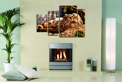 Модульная картина "Опасный"