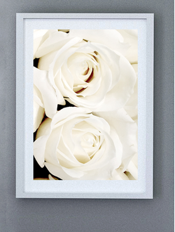 Постер «Две розы». Коллекция «Цветы».