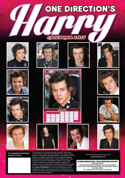 Harry Styles One Direction Календарь 2015