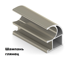 Блестящая Шампань (БШ) - СТАНДАРТ