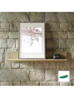 Постер  «Ветка дикого винограда» из коллекции «Графические этюды».