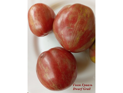 Томат Гном Грааль (Dwarf Grail)