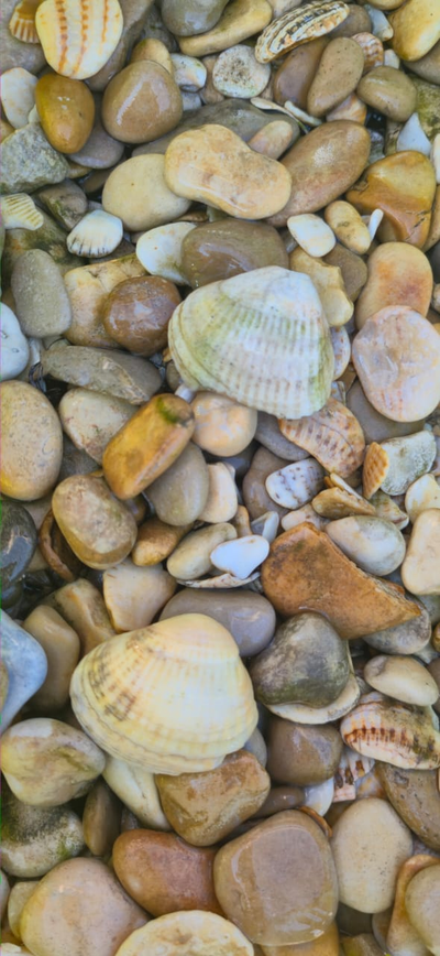 Морской Микс желтоватый