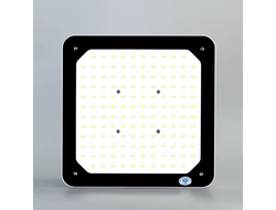 Взрывозащищенные светодиодные лампы для АЗС LED Light