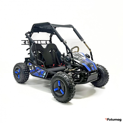 Багги GreenCamel Намиб T10 (60V20Ah 2000W R8 Дифф)