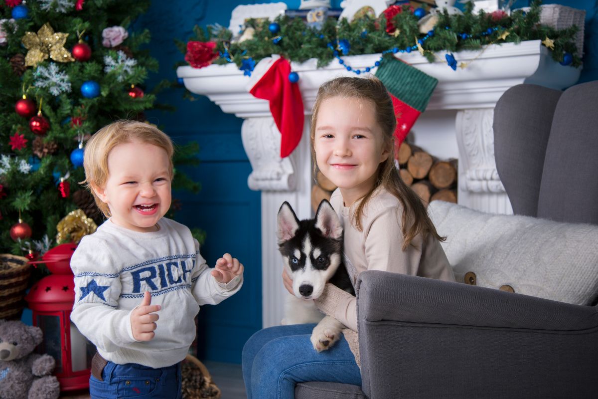 Детская Новогодняя фотосессия с щенками Хаски