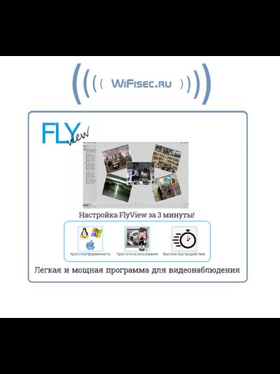 FlyView VMS , лицензия на 1 канал