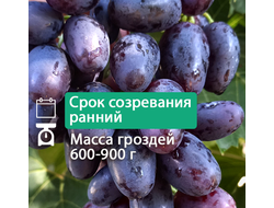Черный кристалл