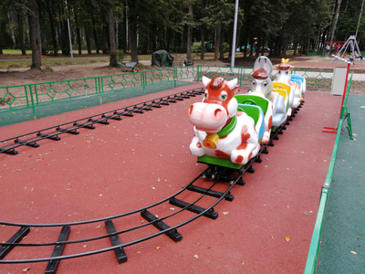 Детская железная дорога «Деревенька»