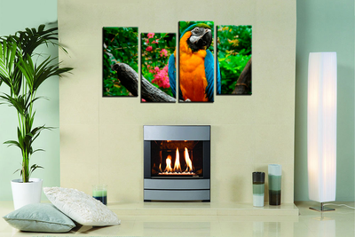 Модульная картина "Попугай"