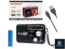 Радиоприемник Raiseng R-551 (Black)