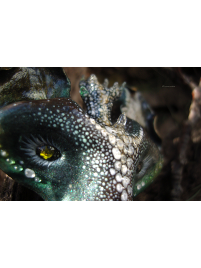 &quot;КотоВолк (Котовий ЛосеВолк) из рода котов-единорогов&quot; - брошь в лесном стиле