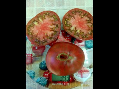 Томат Темная королева (Dark Queen), США