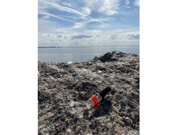 Духи НОТА: ЖЕНСКОЕ ПРИСУТСТВИЕ, 3.5 мл