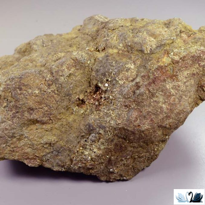 Керамогранит Prime Ceramics Basalt Cream 60х60 см бежевый матовый