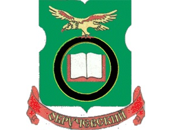 РЕКЛАМА В ЭЛИТНЫХ ДОМАХ МОСКВЫ РАЙОН "ОБРУЧЕВСКИЙ"