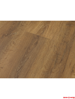 Сосна Сибирская 33 класс