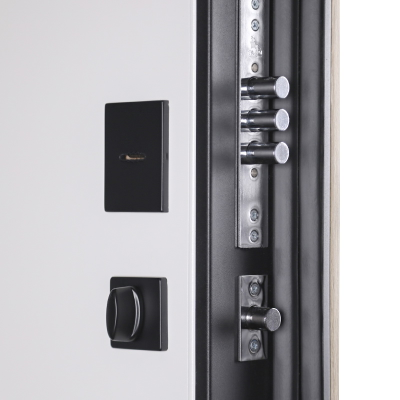 Стальная дверь   Конструктор (умная электронная дверная ручка с отпечатком пальца Smart lock T888 черная)