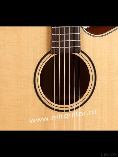 Parkwood S26 (с чехлом)