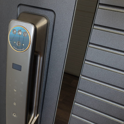 Стальная дверь   Antro. Заказная модель.