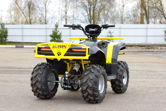 Квадроцикл IRBIS ATV 125