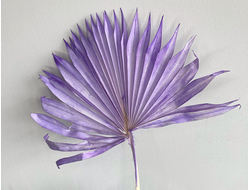 Лист пальмы сиреневый