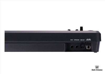 фото, вид сзади ROLAND A-49