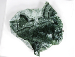 Клинохлор (серафинит), срез полированный с одной стороны, Россия, Иркутская область (45*45*6 мм, 7,8 г) №28401