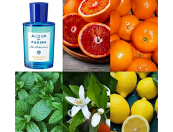 Acqua Di Parma Blu Mediterraneo Mandarino Di Sicilia