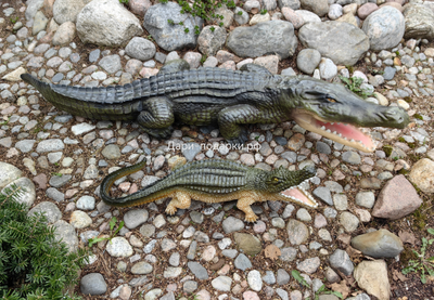 Крокодил 15*40см   1,2кг   полистоун Россия 1844/012457*
