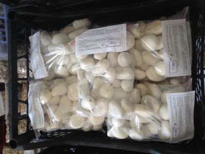 Грунт аквариумный