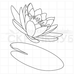 Штамп кувшинки