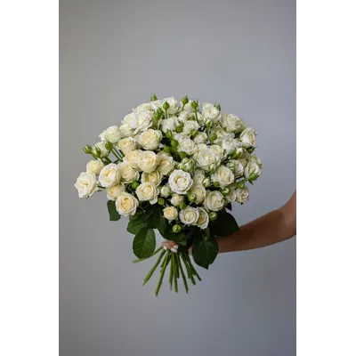 Моно букет цветов № 331